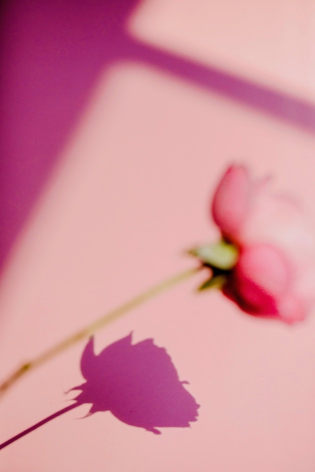 pexels michelle leman 6765581