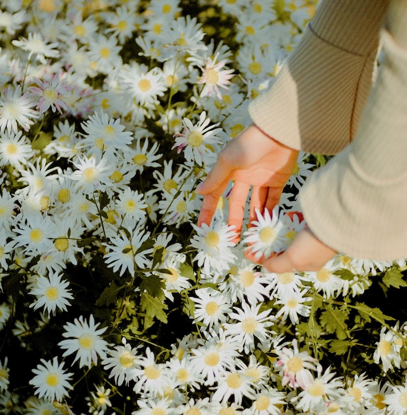 pexels mitbg 6285771